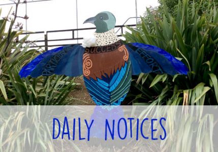 Daily Notices